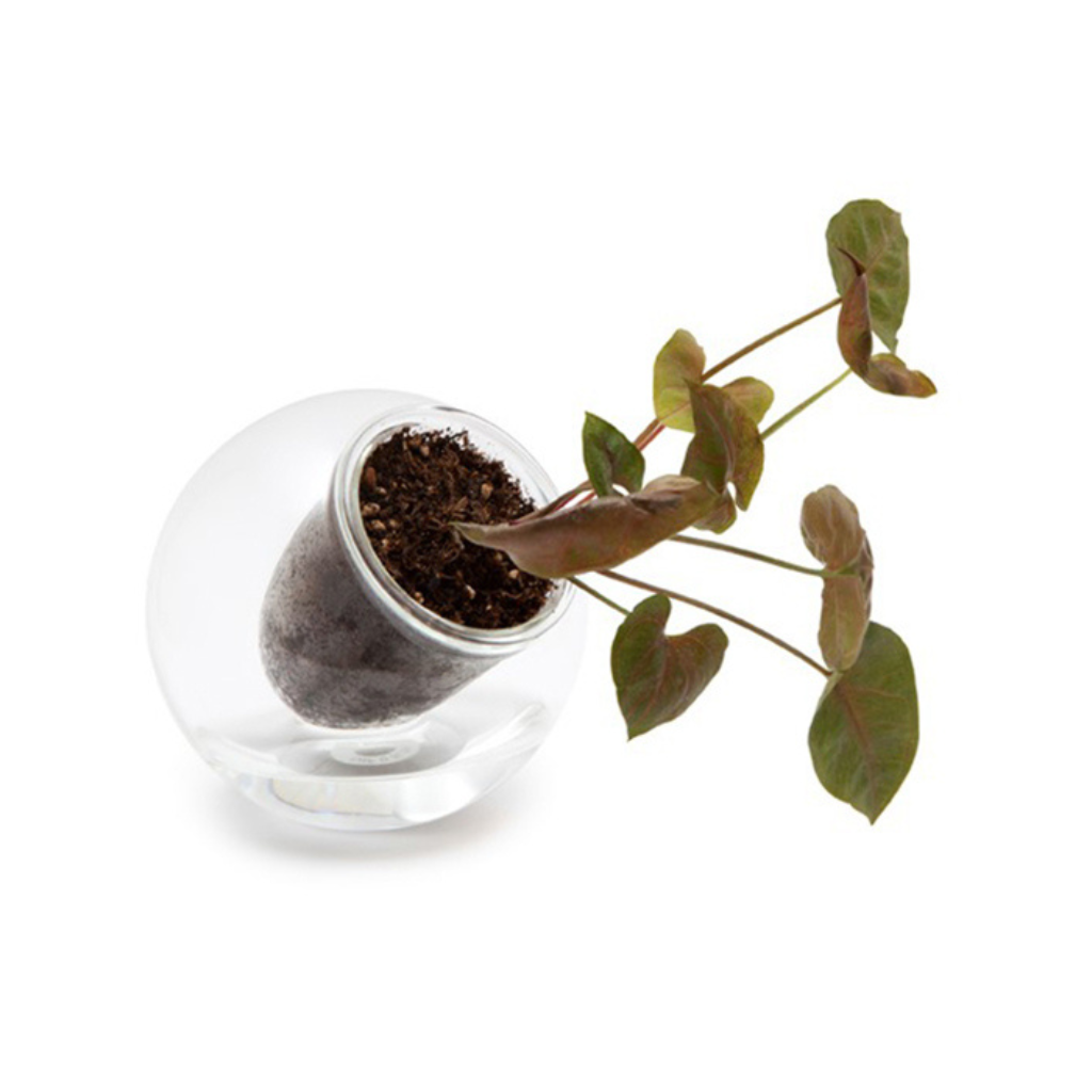 Medium Tilted Self-watering Glass Pot