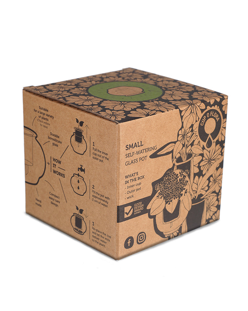 Small Self-watering Glass Pot