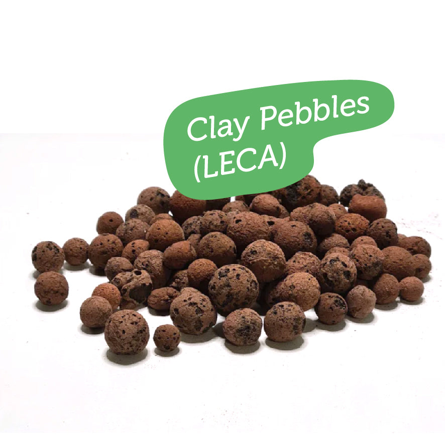 Clay pebbles (LECA)