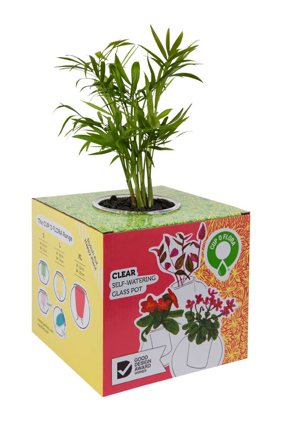 Medium Tilted Self-watering Glass Pot