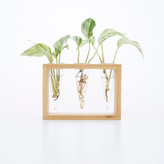 Proppi 3 Propagation Station