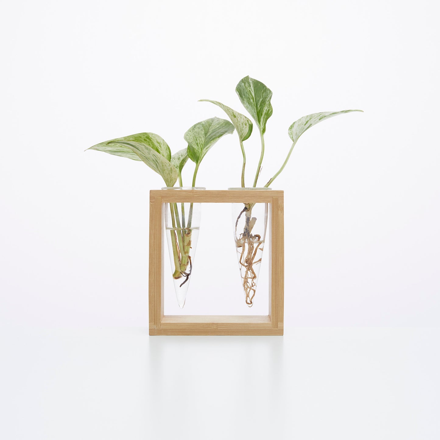 Proppi 2 Propagation Station