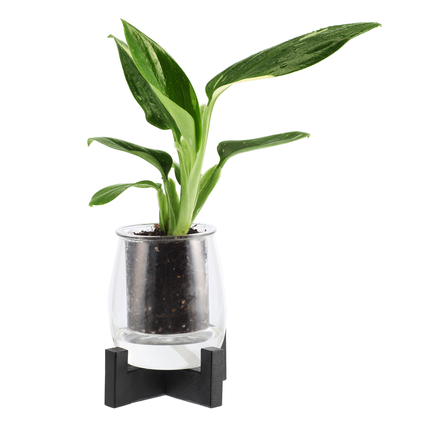 Metal Stand for Small/Mini