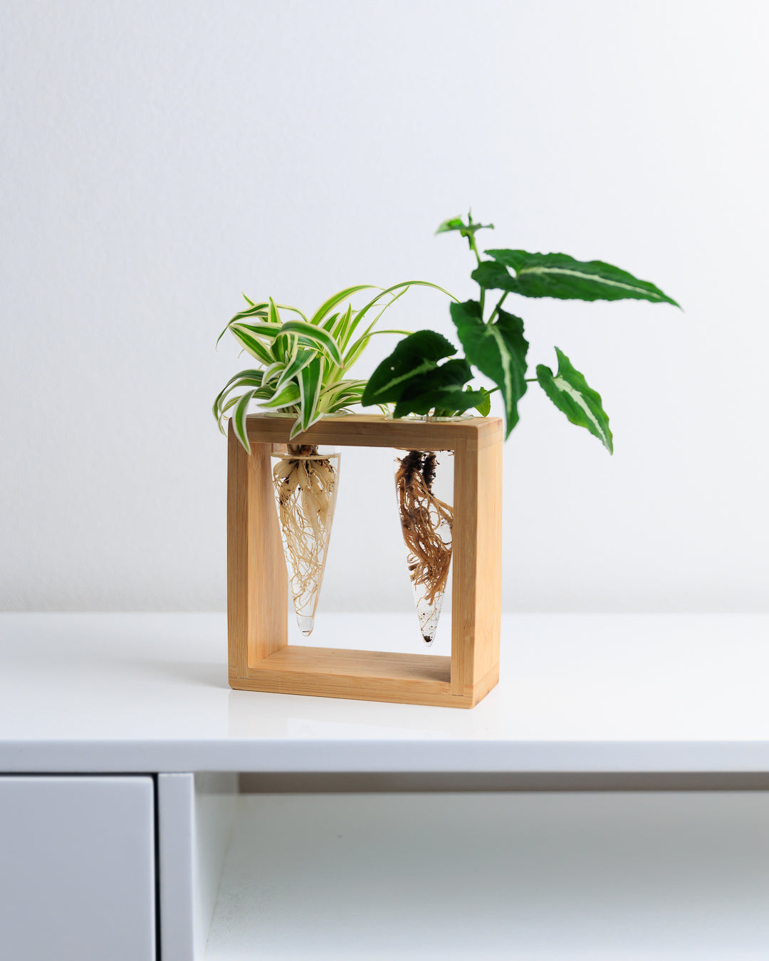 Proppi 2 Propagation Station