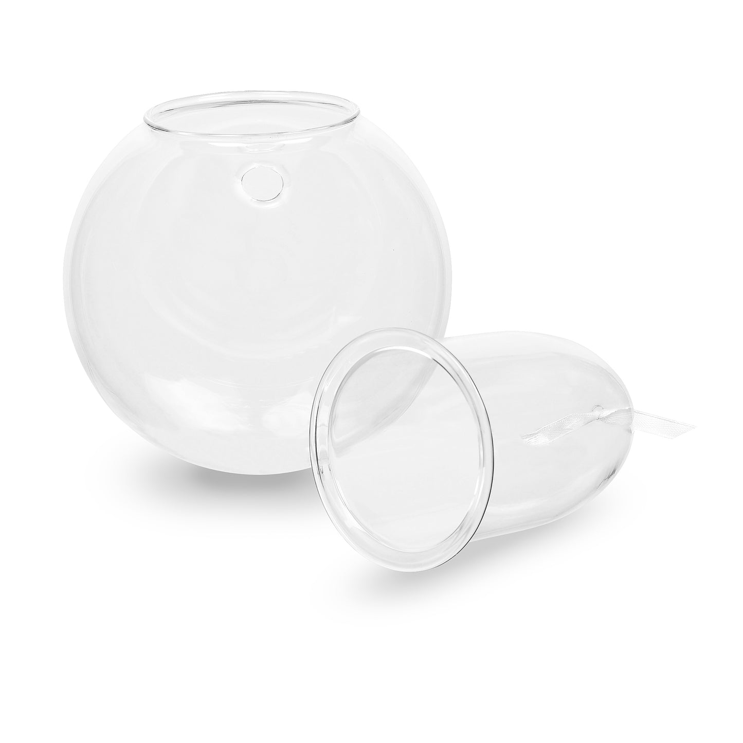 Wall-mounted Self-watering Glass Pot