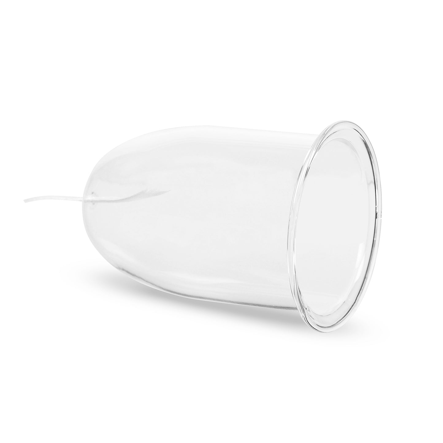 Wall-mounted Self-watering Glass Pot