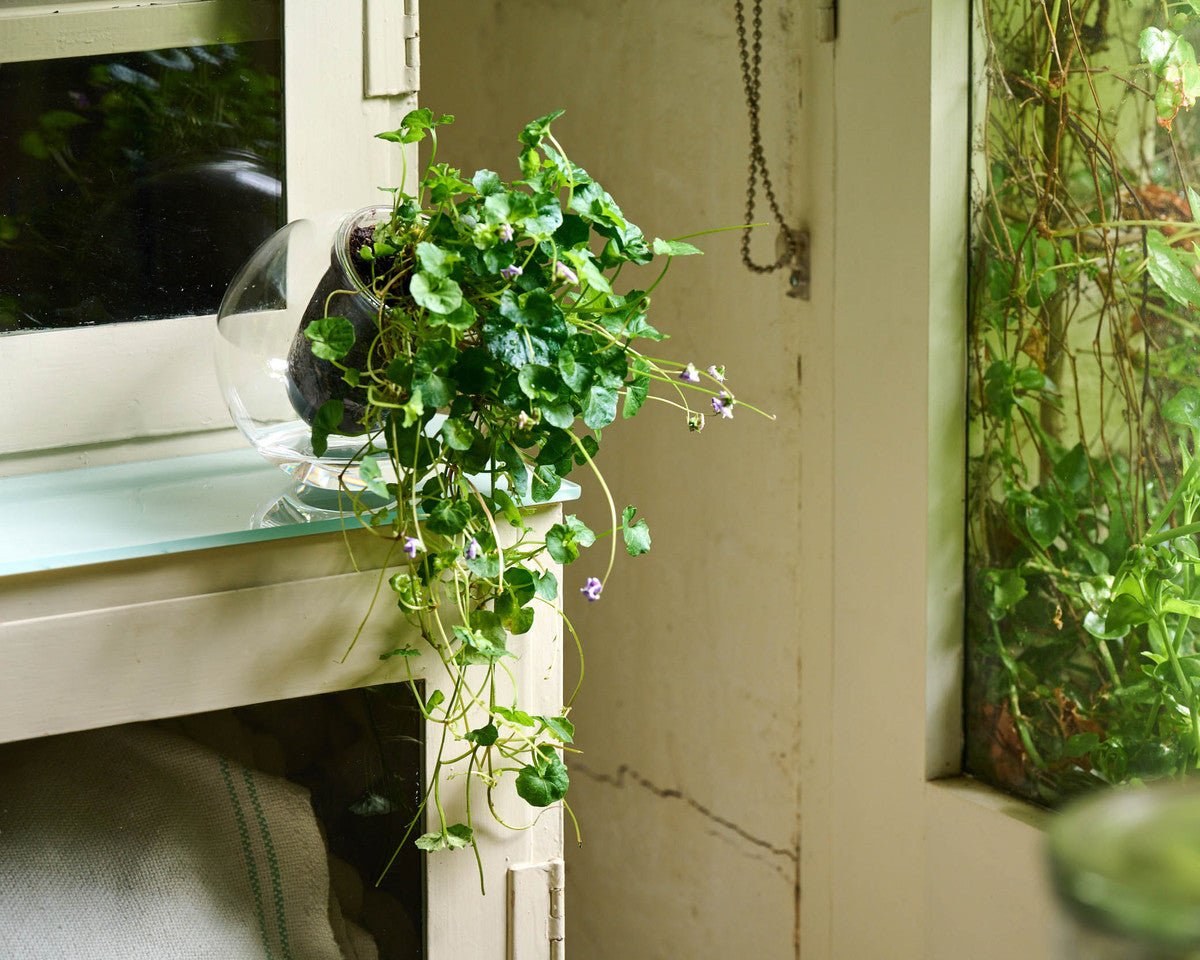 Medium Tilted Self-watering Glass Pot