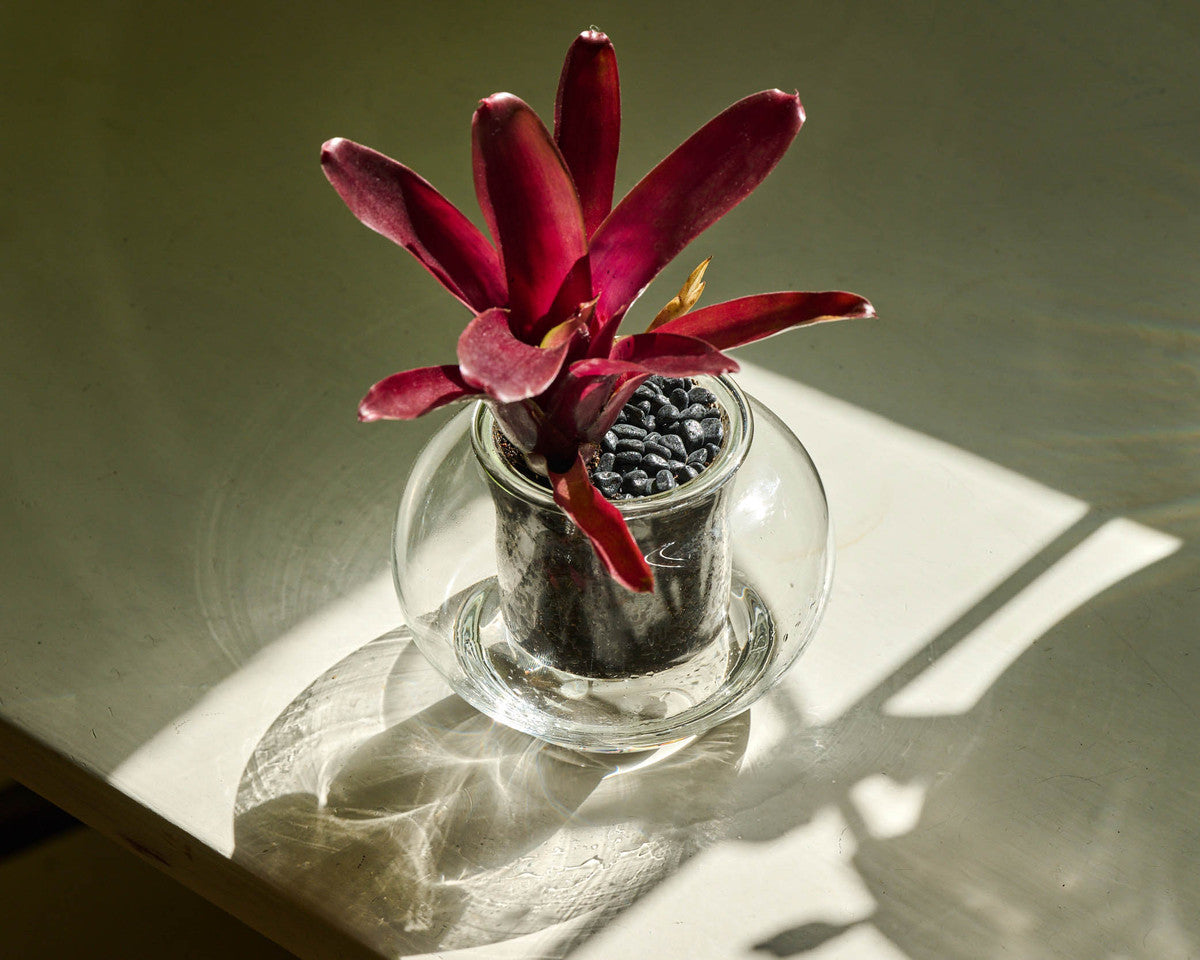 Small Self-watering Glass Pot