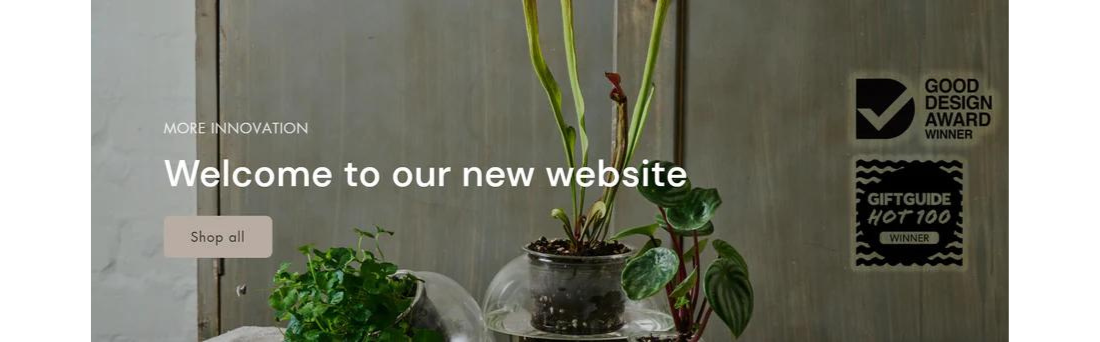 Welcome to the Freshly Revamped Flora & Co Website!