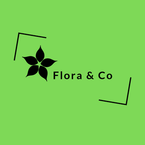 Flora & Co logo