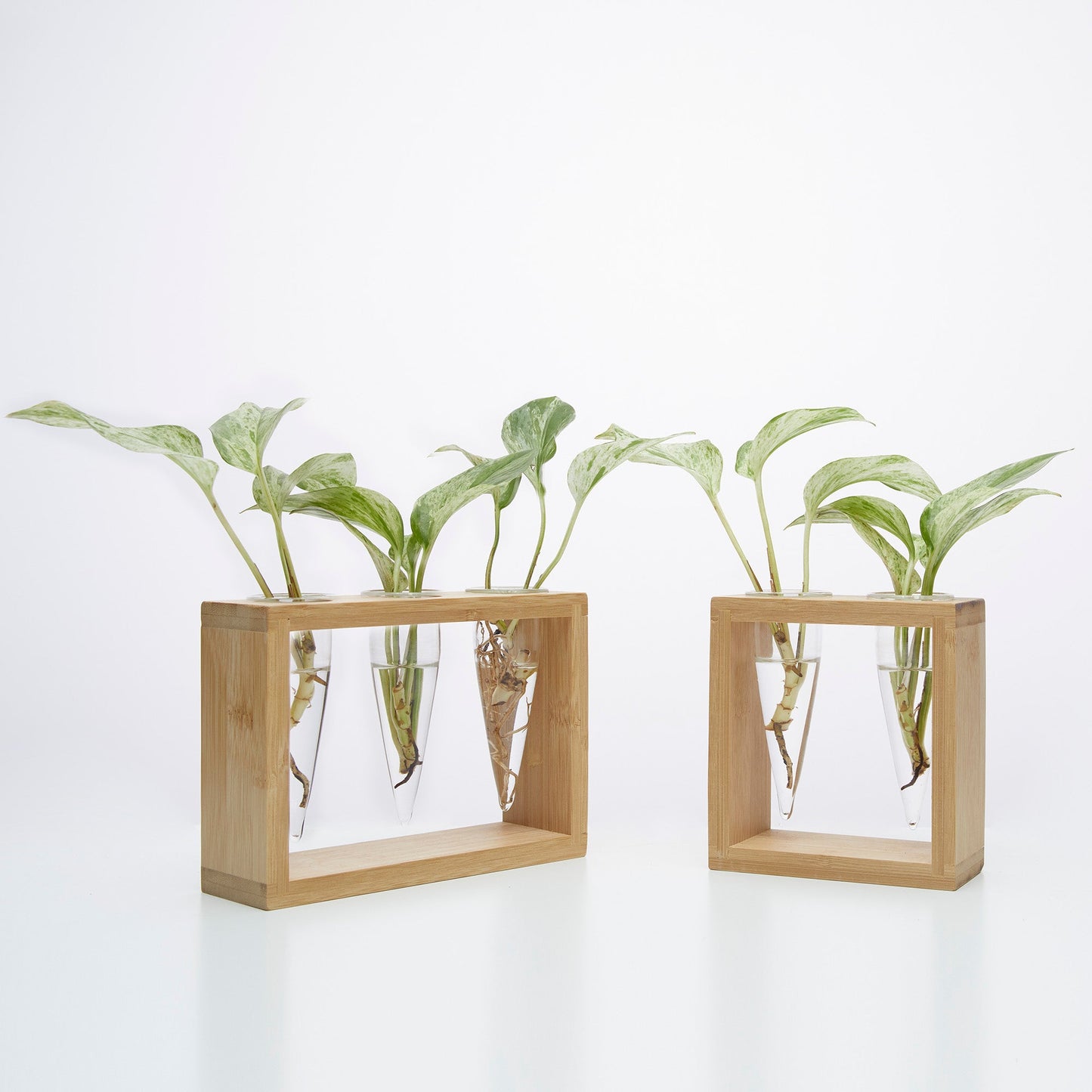 Proppi 3 Propagation Station